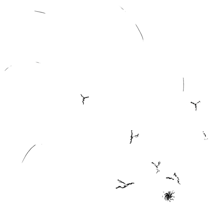 Hand-drawn sketch of endogenous antigen formation causing cytokine storm, with Y-shaped marks