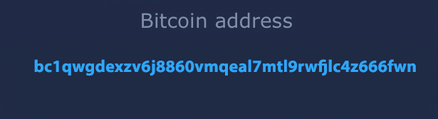 Bitcoin wallet address